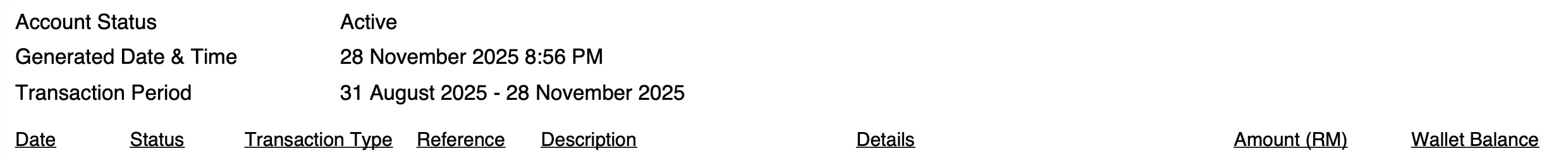 Sample TNG eWallet bank statement header